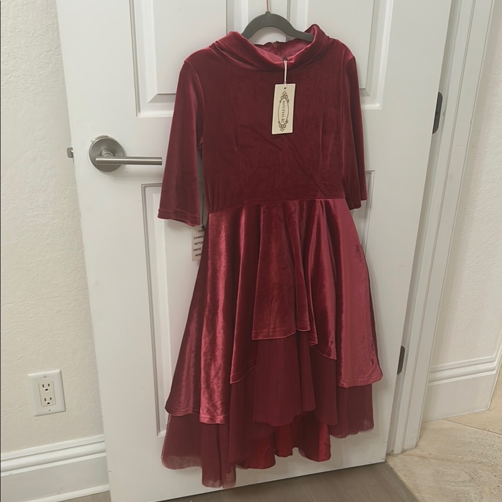 Joyfolie Velvet Wine Dress real velvet never worn with tags